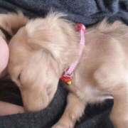 ヒメ日記 2026/01/18 22:37 投稿 ほなみ 岐阜岐南各務原ちゃんこ