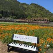 ヒメ日記 2026/04/21 15:37 投稿 ほなみ 岐阜岐南各務原ちゃんこ