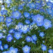 ヒメ日記 2026/04/27 18:27 投稿 ほなみ 岐阜岐南各務原ちゃんこ