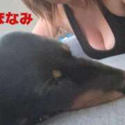 ヒメ日記 2026/06/11 07:17 投稿 ほなみ 岐阜岐南各務原ちゃんこ