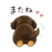 ヒメ日記 2026/09/12 23:58 投稿 ほなみ 岐阜岐南各務原ちゃんこ