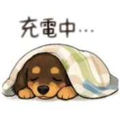 ヒメ日記 2026/09/15 18:17 投稿 ほなみ 岐阜岐南各務原ちゃんこ
