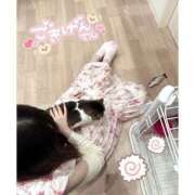 ヒメ日記 2025/03/03 13:00 投稿 茉央【新人】 Minx（ミンクス）