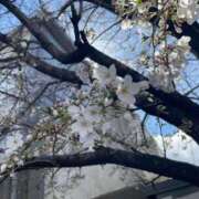 ヒメ日記 2025/03/28 14:03 投稿 ゆな 川崎・東横人妻城