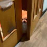 ヒメ日記 2025/05/30 00:08 投稿 ルミナ 信州無限GP 総合受付 諏訪店