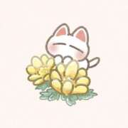 ヒメ日記 2025/02/22 18:34 投稿 きさき ダイスキ