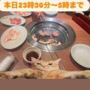 ヒメ日記 2025/12/07 22:28 投稿 ゆうか 白いぽっちゃりさん仙台店