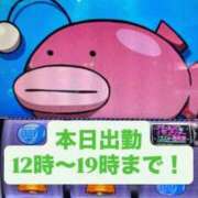 ゆうか おはよう〜今日もいい天気☀️ 白いぽっちゃりさん仙台店