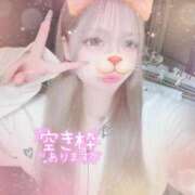 ヒメ日記 2025/11/29 23:15 投稿 ひな ラブライフ所沢川越