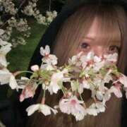 ヒメ日記 2026/04/04 20:58 投稿 ひな Love Life(ラブライフ) 池袋店