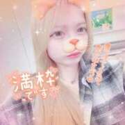 ヒメ日記 2025/11/03 03:54 投稿 ひな ラブライフさいたま