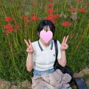 ヒメ日記 2025/09/29 12:13 投稿 恵 すみれ 30代40代50代と遊ぶなら博多人妻専科24時