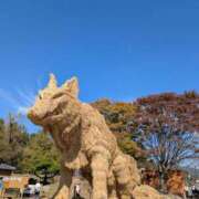 ヒメ日記 2025/11/17 11:48 投稿 恵 すみれ 30代40代50代と遊ぶなら博多人妻専科24時