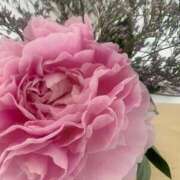 ヒメ日記 2025/09/10 08:33 投稿 松美 沙耶 東京貴楼館