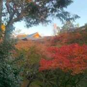 ヒメ日記 2025/12/02 08:11 投稿 松美 沙耶 横浜貴楼館