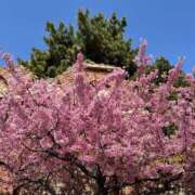 ヒメ日記 2025/11/21 18:22 投稿 ゆき ヌクトコ池袋店