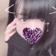 ヒメ日記 2025/03/06 14:00 投稿 あんこ 所沢東村山ちゃんこ