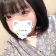 ヒメ日記 2025/05/28 23:36 投稿 あんこ 所沢東村山ちゃんこ