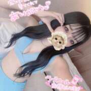 ヒメ日記 2025/02/22 10:48 投稿 Yumeno/ゆめの プロフィール加古川