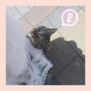 ヒメ日記 2025/05/31 00:17 投稿 あや 山口下関ちゃんこ