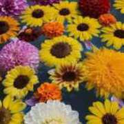 ヒメ日記 2025/08/31 03:13 投稿 あや 山口下関ちゃんこ