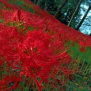 ヒメ日記 2025/03/31 20:47 投稿 藍姫 マリン千姫