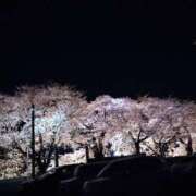 ヒメ日記 2025/04/08 05:46 投稿 藍姫 マリン千姫