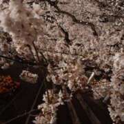 ヒメ日記 2025/04/09 23:56 投稿 藍姫 マリン千姫