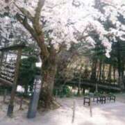 ヒメ日記 2025/04/17 08:56 投稿 藍姫 マリン千姫