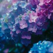 ヒメ日記 2025/06/01 12:46 投稿 藍姫 マリン千姫