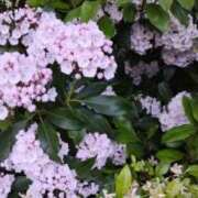 ヒメ日記 2025/06/11 00:03 投稿 藍姫 マリン千姫