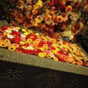 ヒメ日記 2025/06/27 13:27 投稿 藍姫 マリン千姫