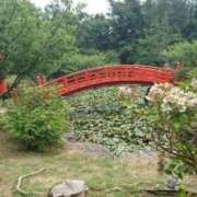 ヒメ日記 2025/08/15 08:36 投稿 藍姫 マリン千姫