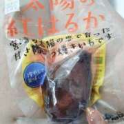 ヒメ日記 2025/08/15 19:26 投稿 藍姫 マリン千姫