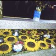 ヒメ日記 2025/08/19 14:36 投稿 藍姫 マリン千姫