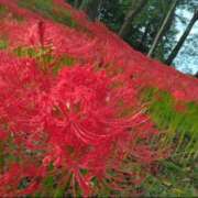 ヒメ日記 2025/09/01 21:05 投稿 藍姫 マリン千姫