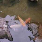 ヒメ日記 2025/09/23 00:02 投稿 藍姫 マリン千姫