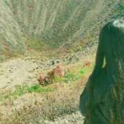 ヒメ日記 2025/10/18 07:42 投稿 藍姫 マリン千姫