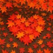 ヒメ日記 2025/11/05 09:13 投稿 藍姫 マリン千姫