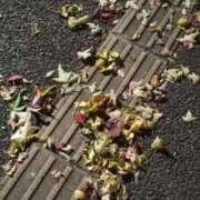 ヒメ日記 2025/11/08 07:32 投稿 藍姫 マリン千姫