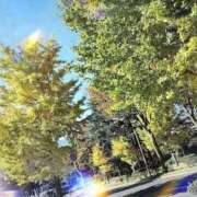 ヒメ日記 2025/11/11 16:02 投稿 藍姫 マリン千姫