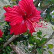 ヒメ日記 2025/04/28 17:50 投稿 れおな Beppin house