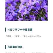 ヒメ日記 2025/05/07 19:32 投稿 れおな Beppin house