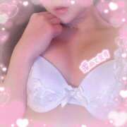 ヒメ日記 2025/04/03 15:44 投稿 あんず アイドルソープ　萌えっ娘学園