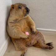 ヒメ日記 2025/04/18 08:38 投稿 ぽぽ マリン宮殿雄琴店