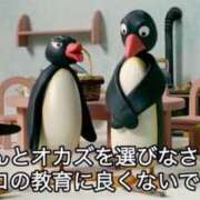 ヒメ日記 2025/04/23 10:07 投稿 ぽぽ マリン宮殿雄琴店