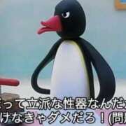 ヒメ日記 2025/07/17 11:07 投稿 ぽぽ マリン宮殿雄琴店