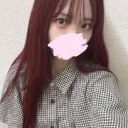 ヒメ日記 2025/04/23 14:52 投稿 ひなみ 横浜コスプレデビュー（シンデレラグループ）