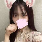 ヒメ日記 2025/05/04 08:06 投稿 ひなみ 横浜コスプレデビュー（シンデレラグループ）