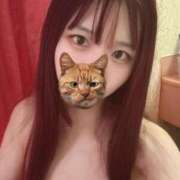 ヒメ日記 2025/05/09 06:51 投稿 ひなみ 横浜コスプレデビュー（シンデレラグループ）